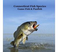 Connecticut Game Fish and Panfish Species Kids Book: Great Book About the Different Types of Fish in Connecticut