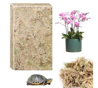 CONNECTION 190g Sphaigne Mousse Séchée Sphaigne pour Plante Sphaigne Fraîche Compressée Sphaigne Vivante Mousse Végétale Decorative pour Orchidées Terrarium Jardin Bonsaïs Reptile Amphibien