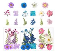 CONNECTION 30 Pièces Ensemble de Fleurs Séchées Pressées Vraies Fleurs Pressées Séchées Fleurs Séchées Resine Epoxy Naturelles pour Nail Art Maquillage Scrapbooking Bougie Bricolage