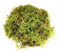 CONNECTION Sphaigne 200 g de Mousse de Sphaigne Séchée Fraise Comprimée Tournoi Vivant Mousse Végétale Décorative pour Orchidées, Terrarium, Jardin, Bonsaï, Reptiles, Amphibiens