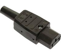 Connectique pour appareils réfrigérants AS Schwabe 62081 mâle, droit Nombre total de pôles: 2 10 A noir 1 pc(s)