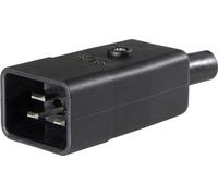 as - Schwabe Connectique pour appareils réfrigérants as - Schwabe 62084 mâle, Droit Nbr Total de pôles: 3 10 A Noir 1 pc(s)