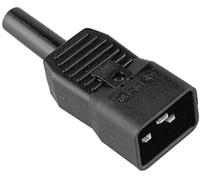 Connectique pour appareils réfrigérants Bachmann 915.175 mâle Nombre total de pôles: 2 16 A noir 1 p