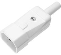 Connectique pour appareils réfrigérants série (connecteur réseau) 749 Kaiser 749/ws mâle, droit Nombre total de pôles: 2 + PE 10