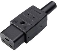 Connectique pour appareils réfrigérants série (connecteur réseau) 763 Martin Kaiser 763/sw/C femelle, droit Nombre total de pôles: 2 + PE 16 A noir 1 pc(s)