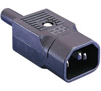 Connectique pour appareils réfrigérants série (connecteur réseau) PX Bulgin PX0686 mâle, droit Nombre total de pôles: 2 + PE 10 A noir 1 pc(s)