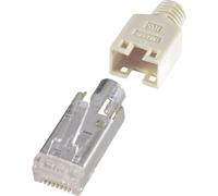 Connectique RJ45, blindé CAT5e Renkforce H9540.1-10 RJ45 mâle, droit Pôle: 8P8C beige 10 pc(s)