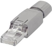 Connectique RJ45 IP20 - CAT5e WAGO 750-975 RJ45 mâle, droit Pôle: 8P8C gris 1 pc(s)