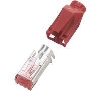 Connectique RJ45 TM21 CAT 6, blindé Hirose Electronic TM31 HR31RT10 rouge 10 pc(s)