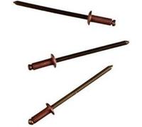 Connex COXT197306 Rivets borgnes en Cuivre/Bronze, Brun/or, 3,2 x 6 mm, Set de 50 Pièces