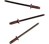 Connex COXT197310 Rivets borgnes en Cuivre/Bronze, Brun/or, 3,2 x 10 mm, Set de 50 Pièces