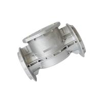 Connexion à bride du filtre 10609F DN100 for la filtration de pipelines