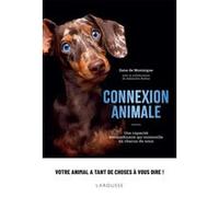 Connexion animale: Une capacité extraordinaire qui sommeille en chacun de nous