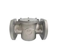 Connexion de bride du filtre FG4050FT DN50 for la Filtration de pipeline