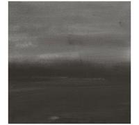 Connors,Loren / Grubbs,David - Evening Air [Vinyl Lp]