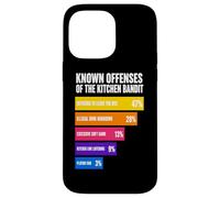 Connu Offenses of The Kitchen Bandit Pickleball NVZ Coque pour iPhone 14 Pro Max
