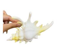 Conque À La Mode Conçoit Une Pince À Cheveux En Acrylique Avec Une Forte