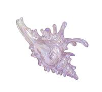 Conque à la mode conçoit une pince à cheveux en acrylique avec une forte tenue, plusieurs couleurs pour un polyvalent, une pince à griffes en acrylique