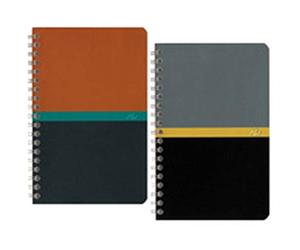 Conquérant 22004 Carnet Plastique Vert