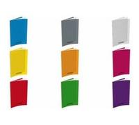 HAMELIN - 1 Cahier Grands Carreaux 17x22cm 48 pages - Couverture Polypro Bleue