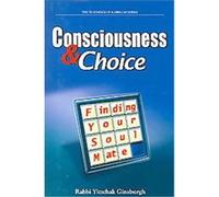 Consciousness & Choice, The Teachings of Kabbalah Series Yitzchak Ginsburgh (Auteur)