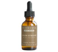 Conseil Fleur de Bach® - Fleurs de Bach Chien Stressé 30ml +1 OFFERT - Cure complète - Stress, anxiété, agitation - Chien apaisé et serein - "SANS ALCOOL" - Élixir floral traditionnel - Lot 2 flacons