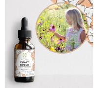 Conseil fleur de Bach® - Fleurs de Bach Enfant Rêveur "SANS ALCOOL" - Efficace et utile pour retrouver concentration et attention sans altérer l'imagination et la créativité Fl de 30 ML, lot de 2