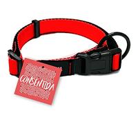 Consentida Collier de sécurité pour Chien Moyen T4 - Taille XL 45-70 x 2,5 cm - Rouge - Tissu Lisse et résistant - avec Anneau supplémentaire
