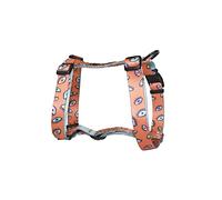 Consentida Harnais pour Chien de Petite Taille T1-20 - 40 x 1,5 cm - fabriqué en Nylon - modèle Eyes - Taille S - très résistant et Confortable - Accessoires pour Chiens