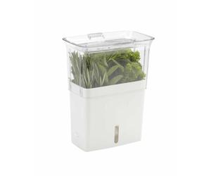 Conservateur herbes fraîches coupées