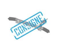 Consigne pour commande d'une crémaillère de direction assistée pour BMW