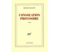 Consolation provisoire René de Ceccatty (Auteur)
