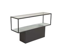 Furniture Fashion - Console en verre et acier Maglehem Noir G