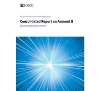 Consolidated Report on Amount B