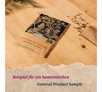 Consoude Officinale (Symphytum Officinale) Bio Env. 30 Semences