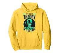 Conspiracy Theory Alien It's Not a Theory if it's True Sweat à Capuche