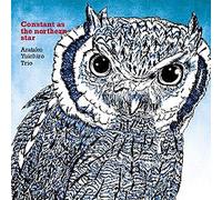 CONSTANT AS THE NORTHERN STAR