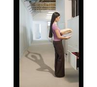 Constitutional Law and New Challenges: Constitutional Law