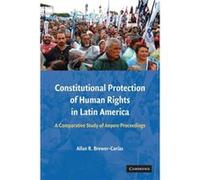 Constitutional Protection Of Human Rights In Latin America