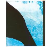 Constructed Landscapes Addendum
