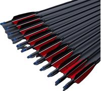 Construction d'arcs Flèches en carbone, 762 mm de longueur de tige, 800 mm de longueur totale , cames bleues 24 pièces