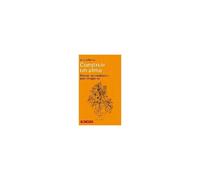 Construir Un Alma : Manual De Meditación Para El Siglo Xxi