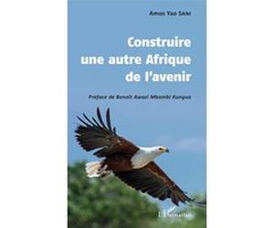 Construire une autre Afrique de l'avenir Amos Yao Sani (Auteur)