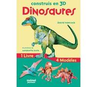 Construis en 3D Dinosaures David Hawcock (Auteur), Margherita Borin (Traduction)
