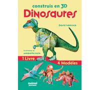 Construis en 3D Dinosaures - David Hawcock - Nuinui Jeunesse - Boîte ou accessoire - Document jeunesse dès 3 ans