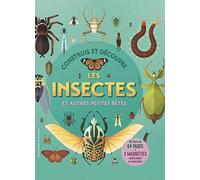 Construis et découvre les insectes et autres petites bêtes Collectif (Auteur), Claire Lebfevre (Traduction)