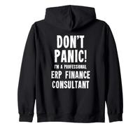 Consultant en finances ERP Sweat à Capuche