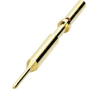 Contact à sertir Phoenix Contact ST-06KP030 1607579 100 pc(s)