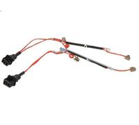 Contact d'avertissement, usure des plaquettes de frein TRW pour FM10 9.6 1999-