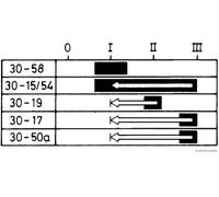 Interrupteur d'allumage/de démarreur HERTH+BUSS ELPARTS 70596036